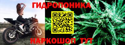 гашик Пушкино