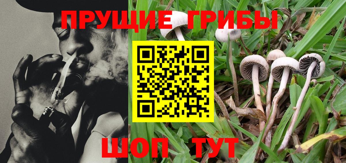 Сергиев Посад  Псилоцибиновые грибы MAGIC MUSHROOMS  Вход с VPN 
